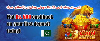 ہفتہ وار VIP کیش بیک promotion